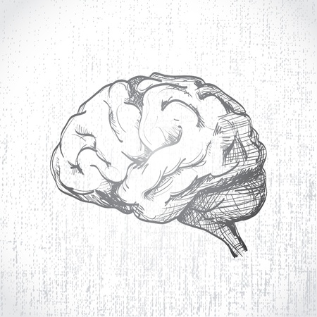 Isolated human brain sketch - illustrationのイラスト素材