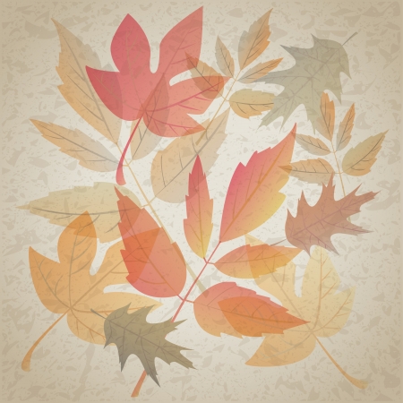 Autumn leafs on dirty grunge backgroundのイラスト素材