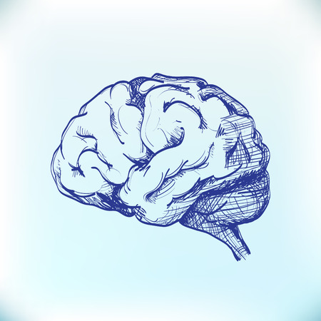Isolated human brain sketch - illustrationのイラスト素材