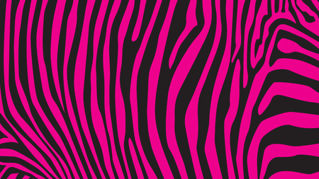 Pink zebra stripes pattern, illustrationのイラスト素材