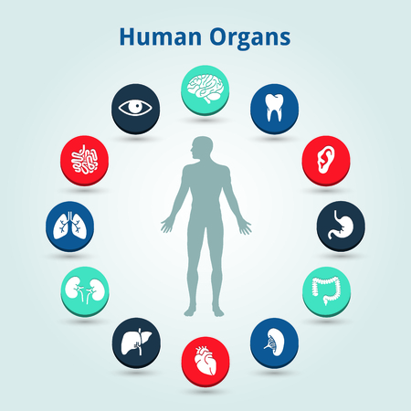 Medical human organs icon set with body in the middleのイラスト素材