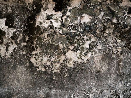 dirty textureの写真素材