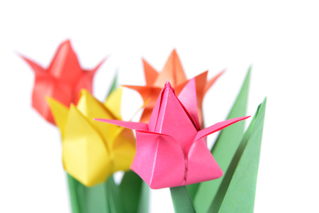 Origami tulip isolated over white backgorundの写真素材