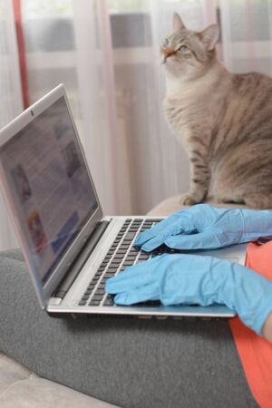 Woman in blue rubber glove working at notebook and cat on defocusedの写真素材