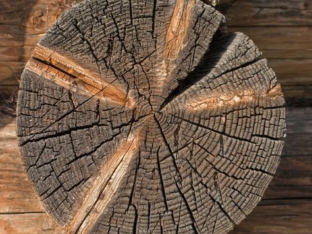 Log house structure wood building home exteriorの写真素材