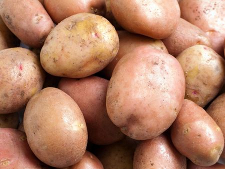Healthy eating vegetable food - potato backgroundの写真素材