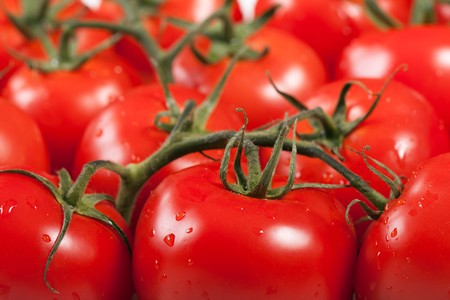 Healthy eating red ripe raw vegetable tomato foodの写真素材