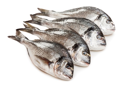 Healthy eating seafood - raw gilt-head fish food heap white isolatedの写真素材