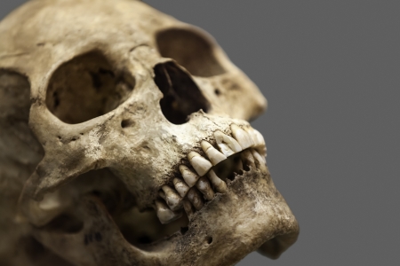 Human anatomy - ancient people skull bone の写真素材