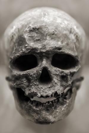 Human anatomy - ancient people skull boneの写真素材