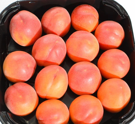 freshly picked red apricots from the Italian countrysideの写真素材