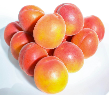 freshly picked red apricots from the Italian countrysideの写真素材