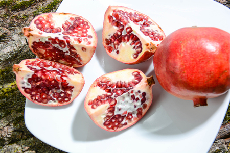 summer fruits freshly picked from Italian countrysideの写真素材