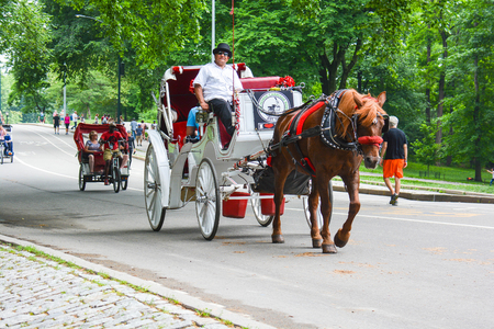 in central park NYC there are many tourist carriages embellished with flowers and colorful drapes that take tourists around the park to make admire all the most remote and beautiful corners, used for those who do not like walking or can notのeditorial素材