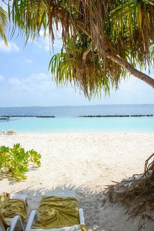 tropical beach along a Maldivian atoll