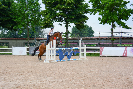 show jumping: cage jump execution sequence, horse dynamics and rider positionの写真素材