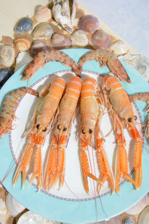 Mediterranean shellfish for special preparation