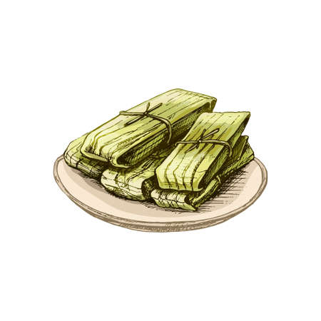 Tamale in plate - mexican traditional food. Vector vintage hatching color illustration. Isolated on white background. Hand drawn designのイラスト素材