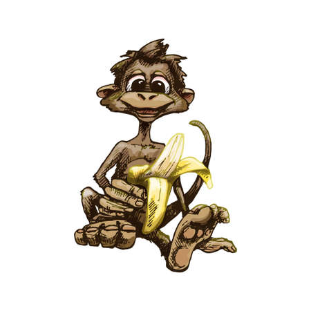 Monkey holding banana half peeled. Vintage vector hatching illustration