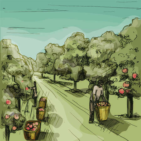 Woman and man harvesting the apple in garden. Hatching vintageのイラスト素材