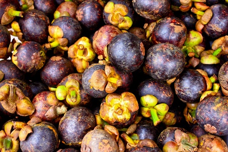 Background from tropical fruit - Purple mangosteenの写真素材
