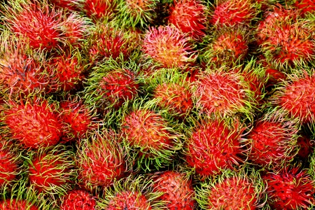 Close up of Rambutan fruits in an Asian marketの写真素材