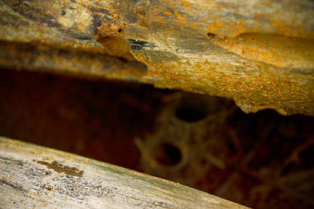 House photograph of some insect.の写真素材