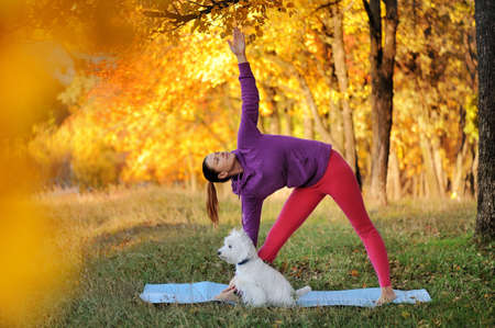 Woman in triangle pose while yoga practice in a forestの写真素材