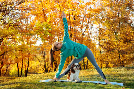 Young woman triangle practicing yoga pose in autumn forestの写真素材