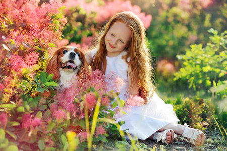 Girl in white dress petting her spaniel dog under the blooming bushの写真素材
