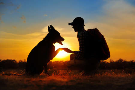 Silhouette of a dog giving paw to its ownerの写真素材