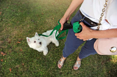 Woman getting garbage plastic bag while walking with her dogの写真素材