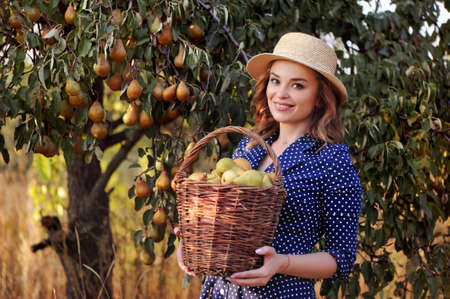 Woman in a hat holding wicker basket with pearsの写真素材