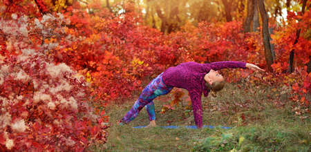 Yoga girl practicing side plank position in the autumn forest while outdoor trainingの写真素材