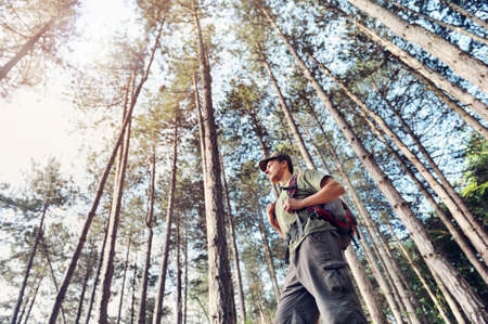 Hiker in the forest view from the ground