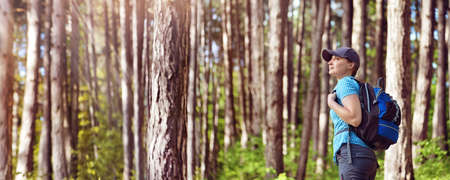 Wide horizontal banner with a female hiker in the forestの写真素材