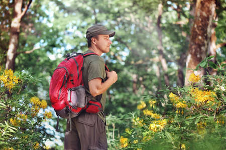 Man with a backpack against the forest with rhododendron bushesの写真素材
