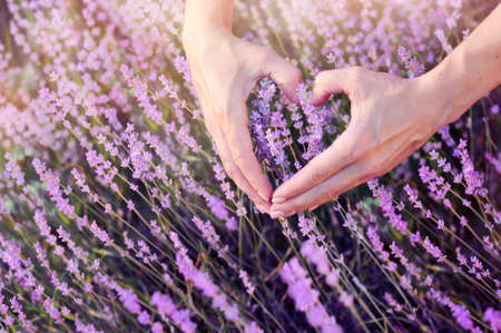 Woman making heart shape with hands over lavender bush