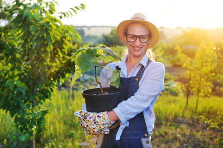 Happy farm worker with a potted tree in handsの写真素材