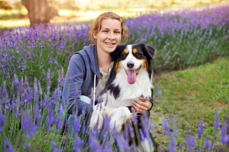 Pretty girl having rest at lavender garden with her aussie dogの写真素材