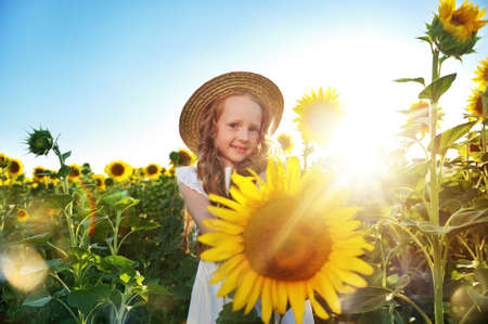 Blooming sunflower in the hands of a little girlの写真素材
