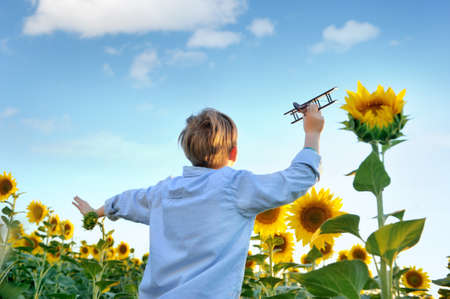 View from behind of a boy playing with a wooden airplane at the sunflower fieldの写真素材