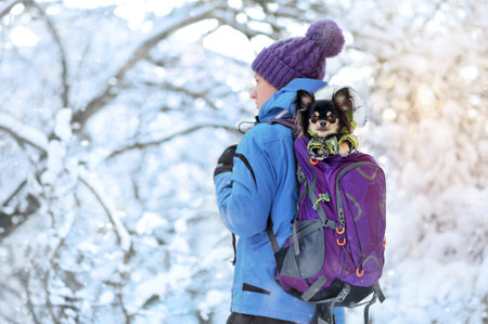 Side view picture of a hiker holding dog in the backpack at the winter natureの写真素材