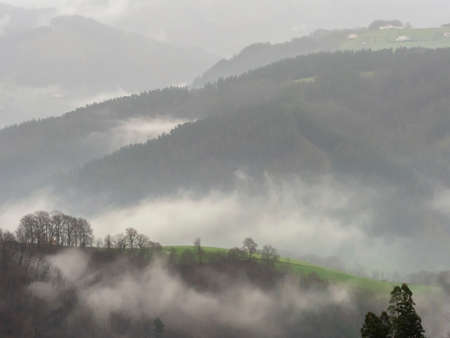 horizontal landscape with foggy trees and housesの写真素材