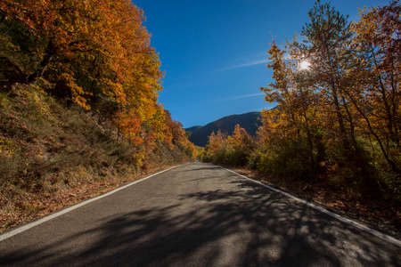 road between mountains in autumn with colorsの写真素材