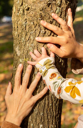 hands of female couple with their daughter in natureの写真素材