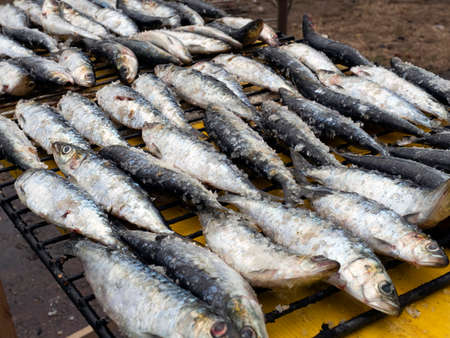 sardines before grilling in a traditional galician festivalの写真素材