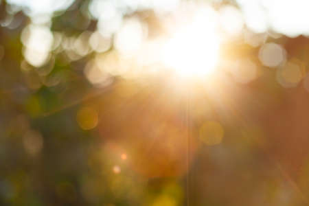 abstract summer background. defocused lights in the sunsetの写真素材