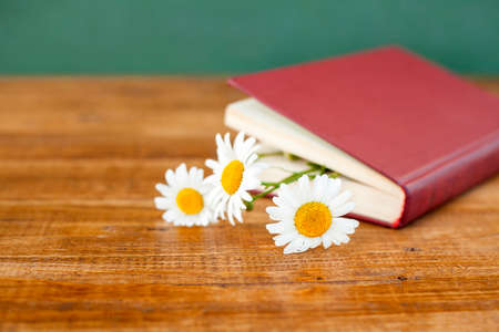 daisies in a book close-up on a wooden tableの写真素材