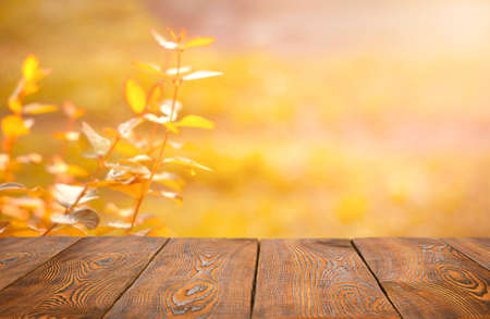 empty wooden table on autumn garden background